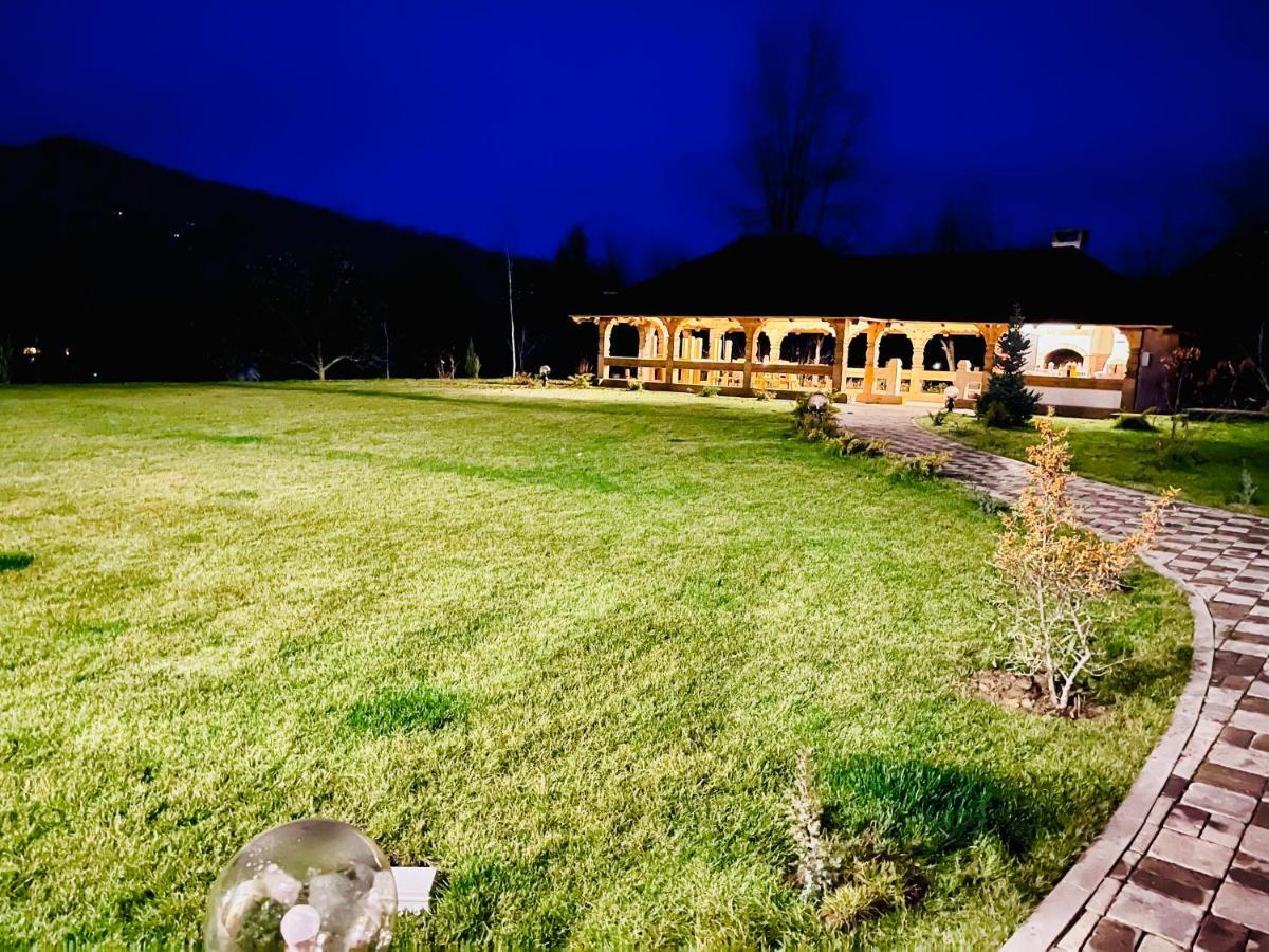 Pensiunea Coronita Вишеу-де-Сус Экстерьер фото
