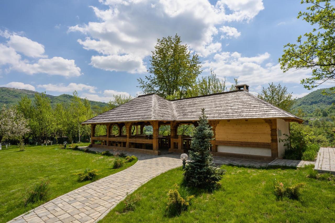 Pensiunea Coronita Вишеу-де-Сус Экстерьер фото