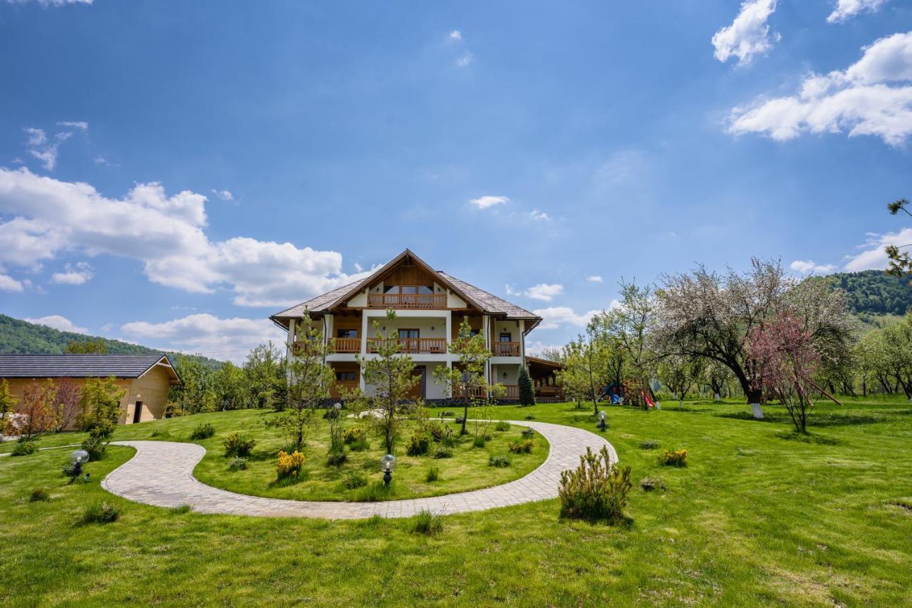 Pensiunea Coronita Вишеу-де-Сус Экстерьер фото